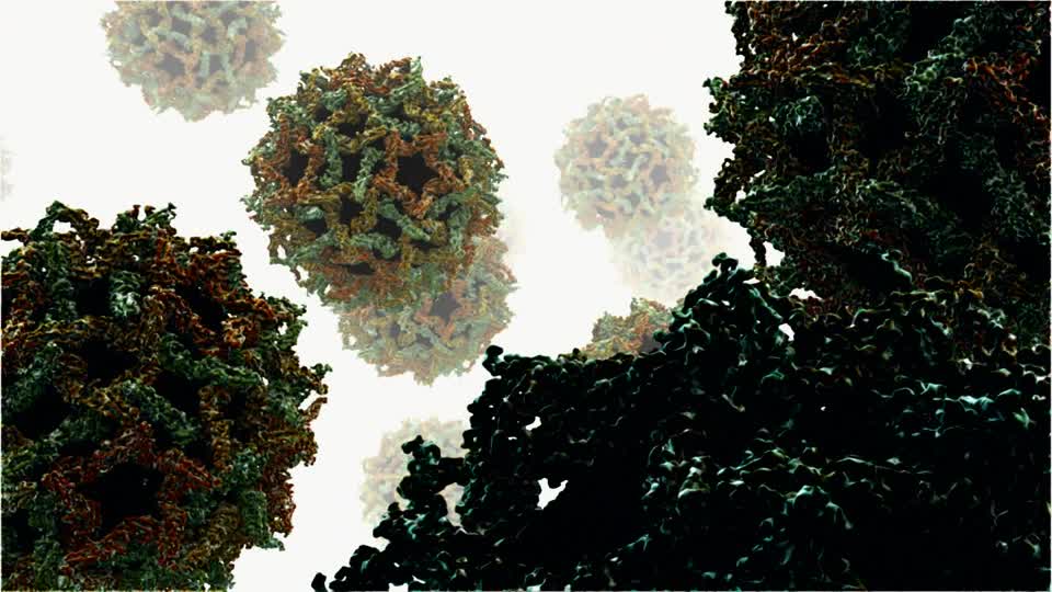 Scientists Discover Viral Mechanism Used By Flavivirus