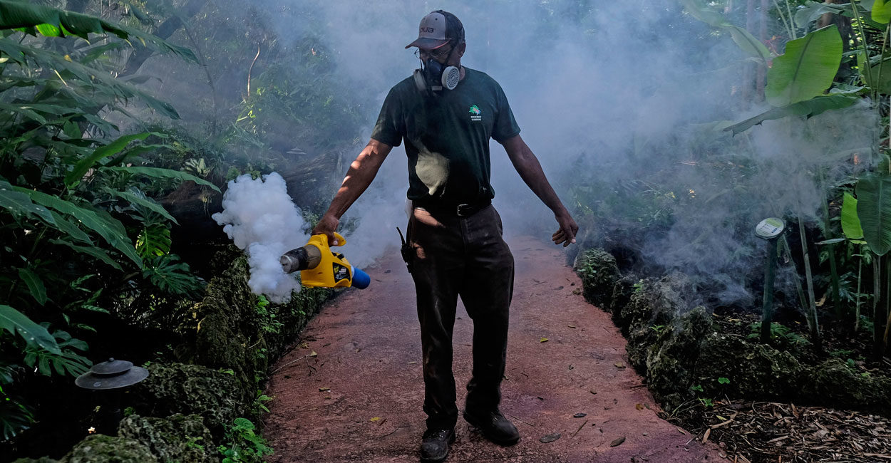 Anti-Zika Pesticide Spraying Turns Wynwood Into A Ghost Town
