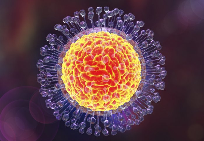 Researchers Engineer Mosquitoes To Resist Dengue