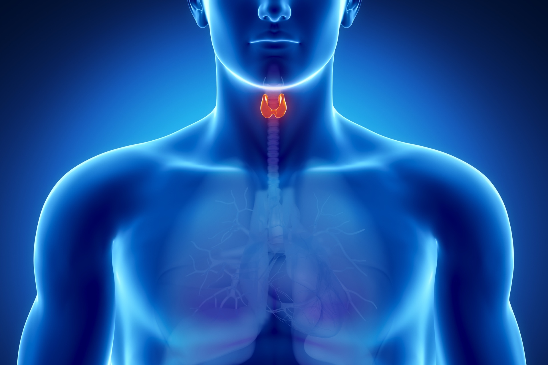 Endocrine System Diseases MyBioSource Learning Center