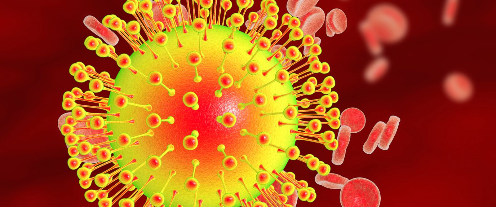Purdue University Scientists Map Evolution Of Zika Virus