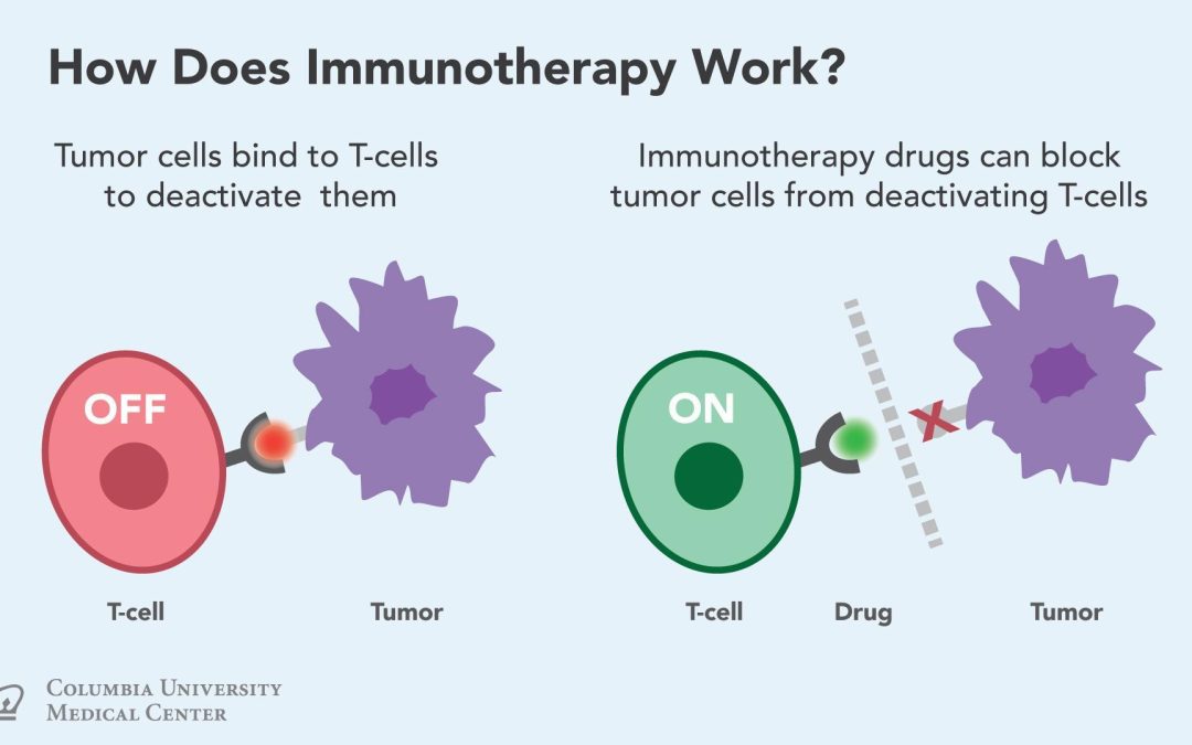 What is cockroach Immunotheraphy?