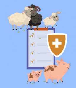 6.Pros & Cons Of Cloning Animals