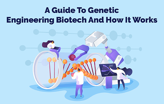 Um guia para biotecnologia de engenharia genética e como ela funciona