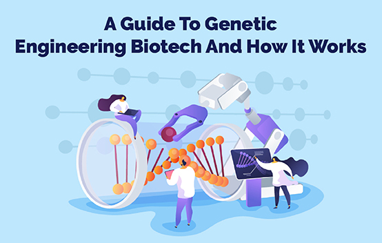 Um guia para biotecnologia de engenharia genética e como ela funciona