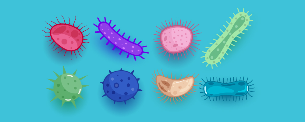 Diffrent types of Bacteria