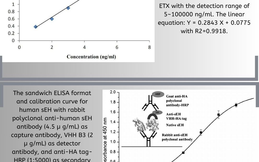 ELISA: Data Analysis and Interpretation